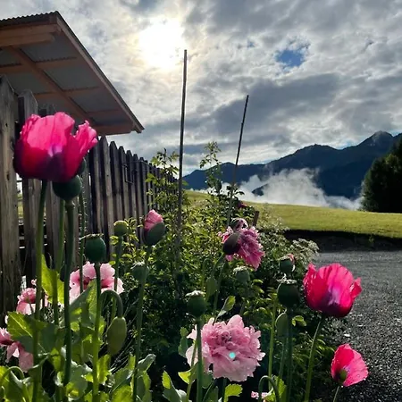 Haus Carinthia *